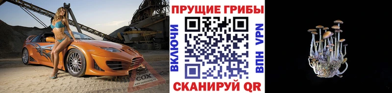 Псилоцибиновые грибы ЛСД  ссылка на мегу ССЫЛКА  Лебедянь 